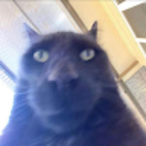 Meet your Posher, Nag4nt